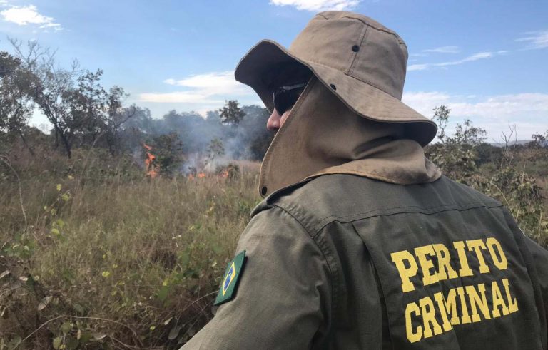 Meio Ambiente - queimada e desmatamento Perito Criminal em ação de combate a incêndio florestal no estado do Mato Grosso para avaliar responsabilidades