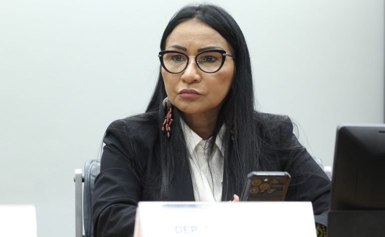 Audiência Pública - Lideranças Yanomami. Dep. Silvia Waiãpi(PL - AP)