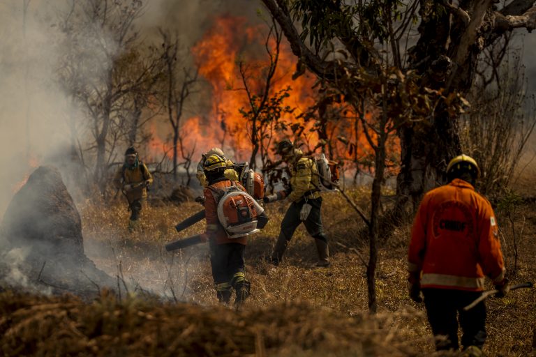 Bombeiros combatem incêndio na mata
