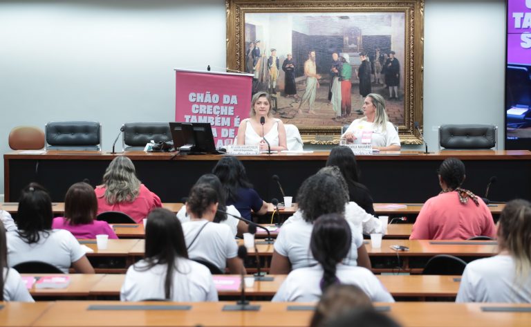 Audiência Pública - Reconhecimento das educadoras infantis como professoras. Dep. Professora Luciene Cavalcante (PSOL-SP). Profesora de Educação Infantil do Movimento Somos Todas Professoras, Ana Carla Navarro.