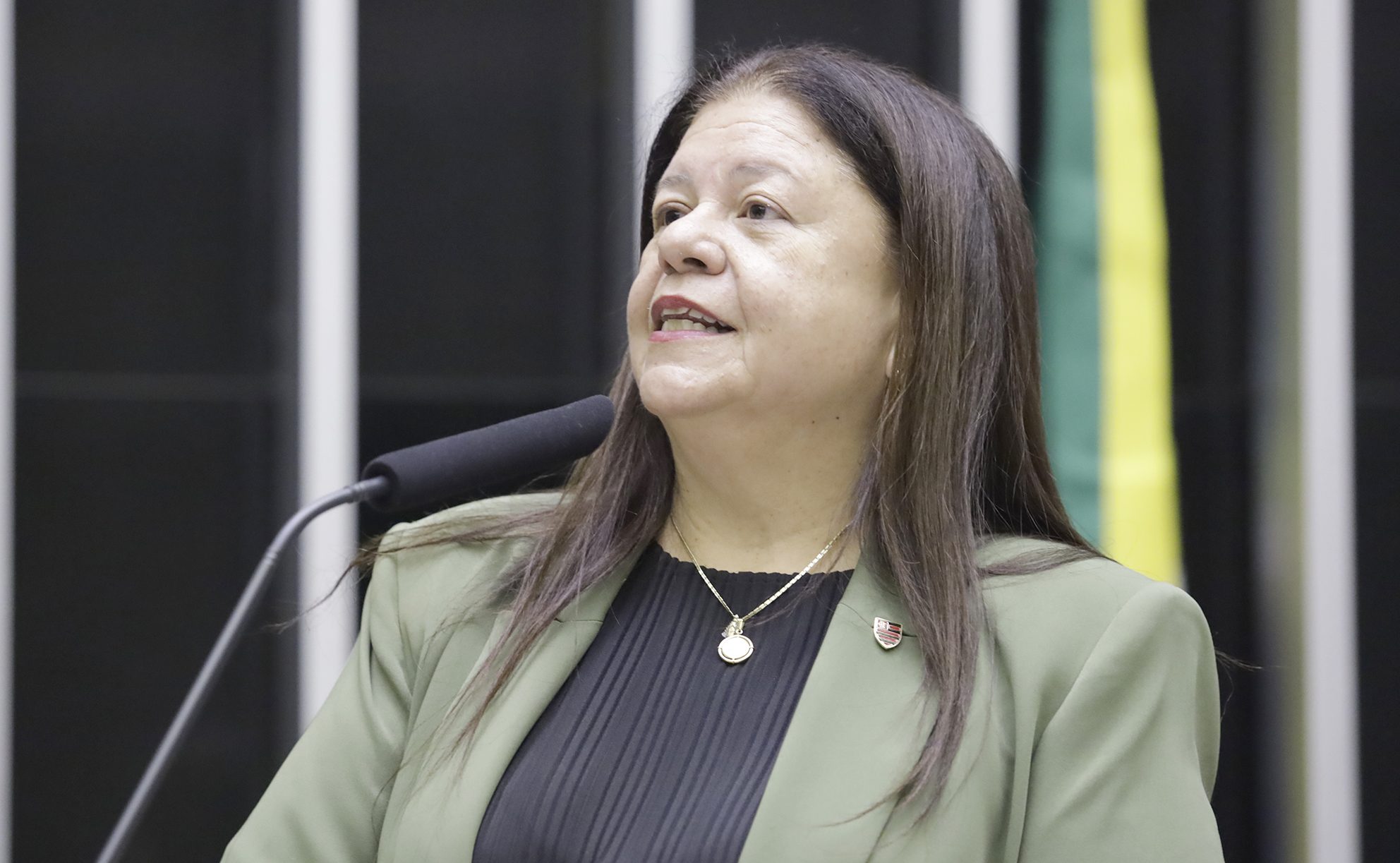 Homenagem a Outorga do Diploma Mulher-Cidadã Carlota Pereira de Queirós. Dep. Laura Carneiro (PSD - RJ) Plenário – Sessão Solene - 10h