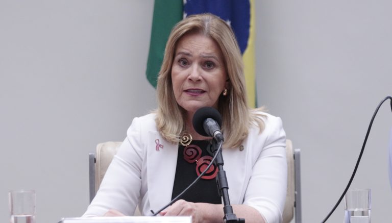 Deputada Lêda Borges em reunião de comissão