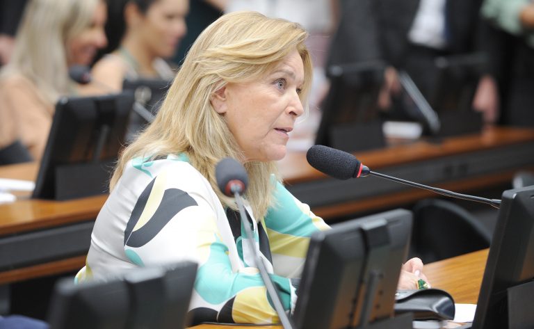 Discussão e votação de propostas. Dep. Lêda Borges (PSDB - GO)