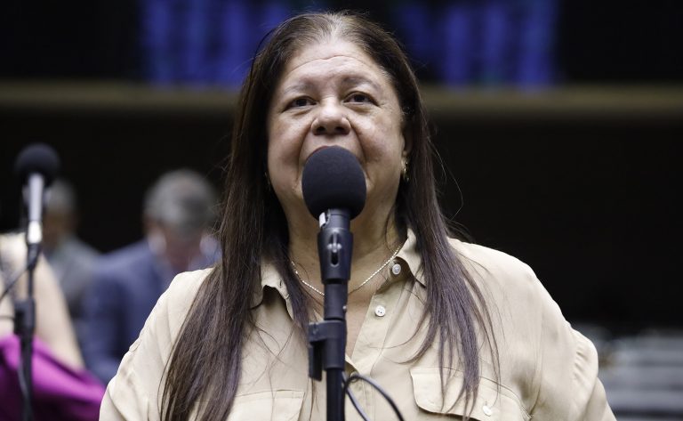 Discussão e votação de propostas legislativas. Dep. Laura Carneiro (PSD - RJ)