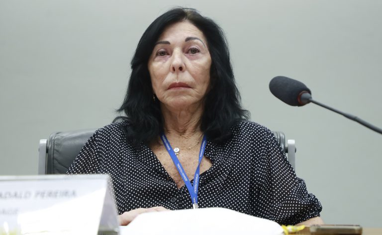Audiência Pública - Por que sua conta de luz está cara? Presidente - Associação Brasileira das Empresas Geradoras de Energia Elétrica - ABRAGE, Marisete Dadald Pereira