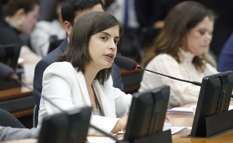 Discussão e votação de propostas legislativas. Dep. Tabata Amaral (PSB - SP)