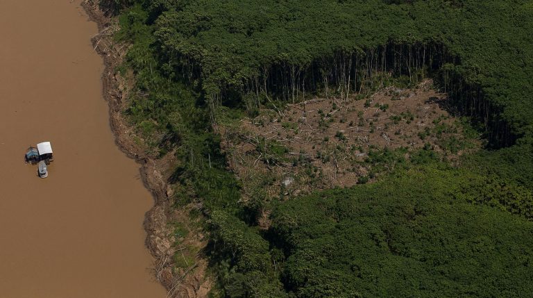 Vista aérea de uma floresta desmatada