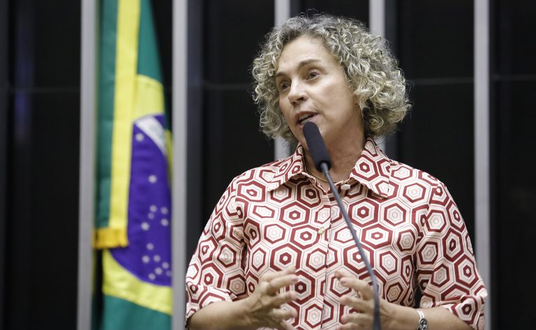 Discussão e votação de propostas legislativas. Dep. Ana Paula Lima (PT - SC)