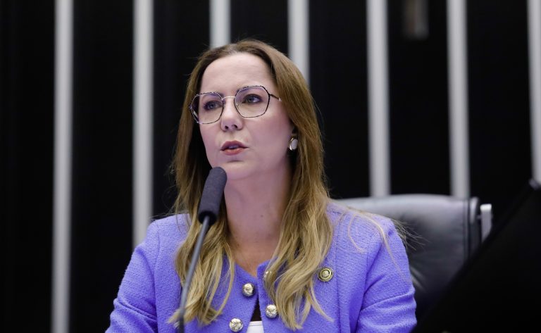 Deputada Delegada Katarina fala ao microfone