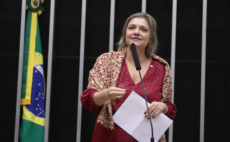 Discussão e votação de propostas. Dep. Professora Luciene Cavalcante (PSOL-SP)