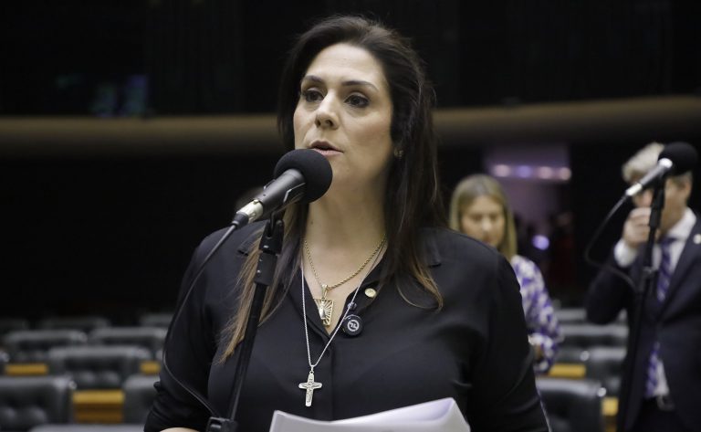 Deputada Simone Marquetto fala ao microfone
