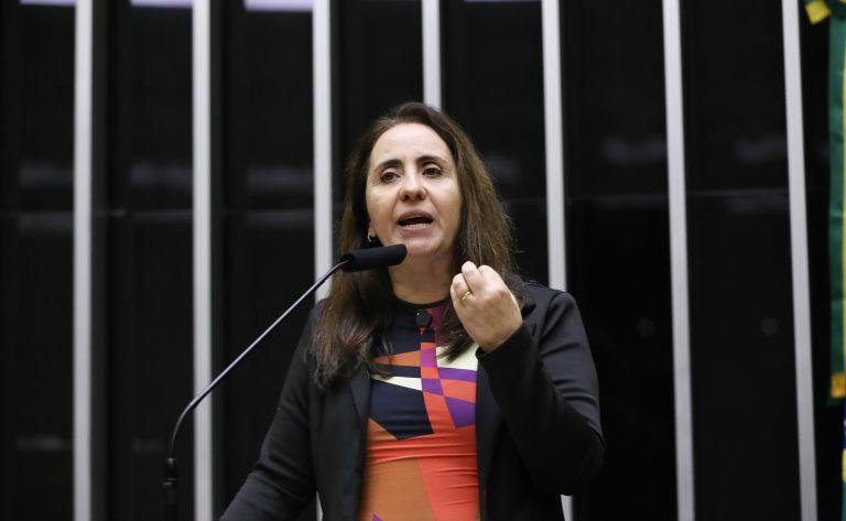Deputada Adriana Ventura fala ao microfone
