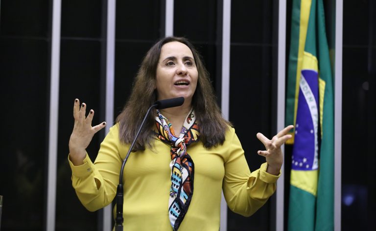 Discussão e votação de propostas legislativas. Dep. Adriana Ventura (NOVO-SP)