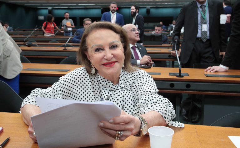 Deputada Elcione Barbalho (MDB-PA), eleita presidente da Comissão de Meio Ambiente e Desenvolvimento Sustentável