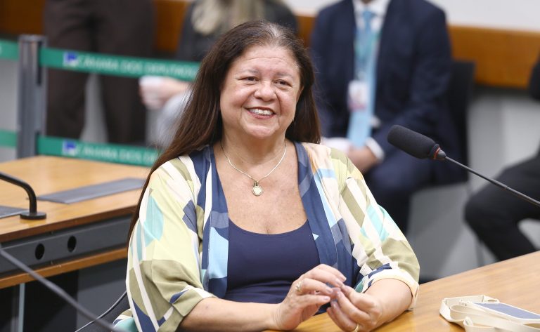 Instalação da comissão e eleição de presidente e vice-presidentes. Dep. Laura Carneiro (PSD - RJ)