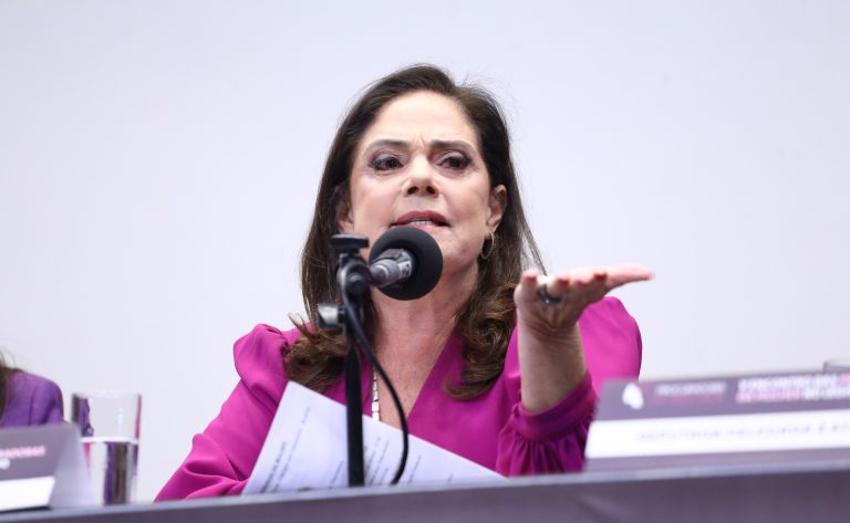 Seminário - V Encontro Nacional de Procuradoras da Mulher. Dep. Soraya Santos (PL - RJ)