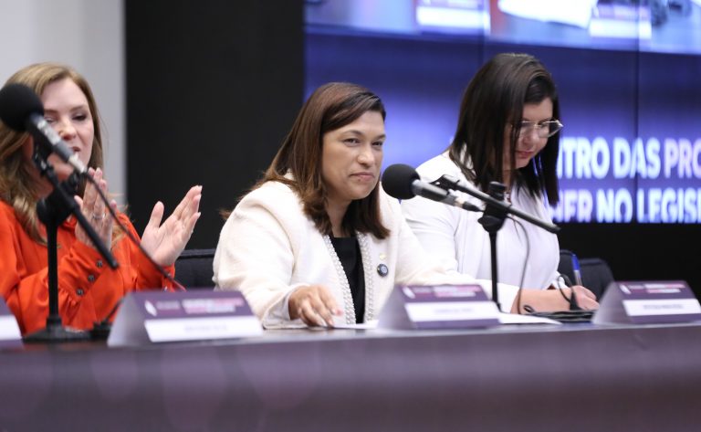 Seminário - V Encontro Nacional de Procuradoras da Mulher. Dep. Maria Rosas (REPUBLICANOS - SP)