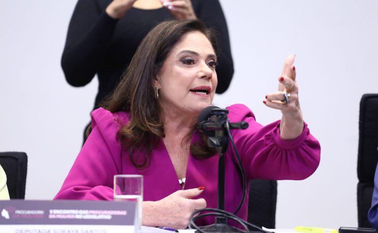 Seminário - V Encontro Nacional de Procuradoras da Mulher. Dep. Soraya Santos (PL - RJ)