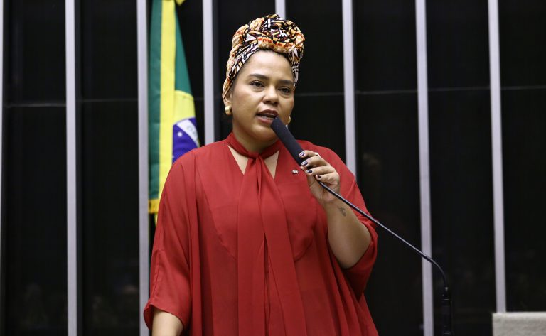 Discussão e votação de propostas legislativas. Dep. Dandara (PT - MG)