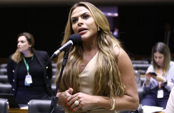 Discussão e votação de propostas legislativas. Dep. Silvye Alves (UNIÃO - GO)