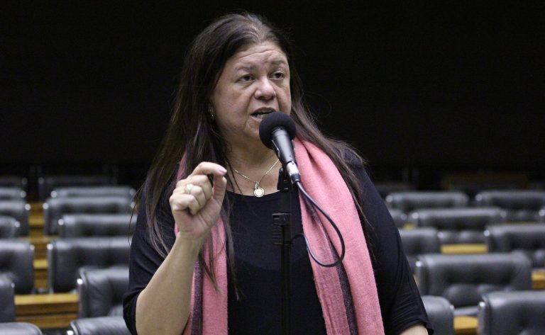 Deputada Laura Carneiro fala ao microfone.