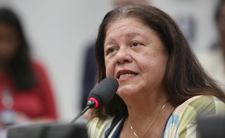 Instalação da comissão e eleição de presidente e vice-presidentes. Dep. Laura Carneiro (PSD - RJ)