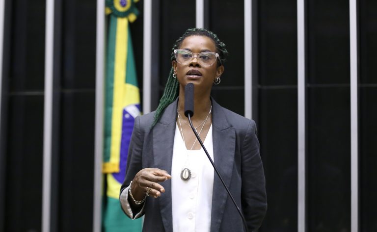 Discussão e votação de propostas legislativas. Dep. Carol Dartora (PT-PR)