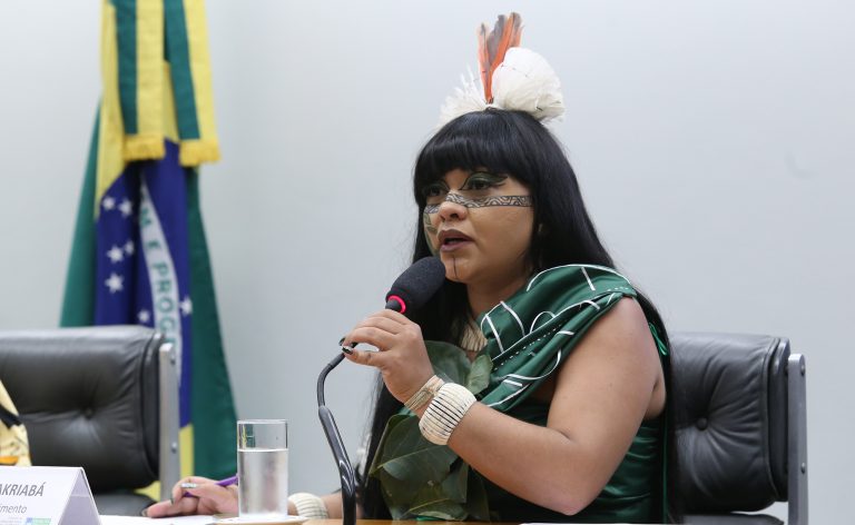 Audiência Pública - Impactos do setor de energias em terras indígenas. Dep. Célia Xakriabá (PSOL - MG)