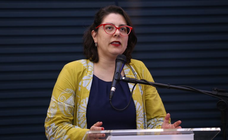 Mesa redonda - Alienação parental. Organizadora da Obra, Tamara Amoroso Gonçalves