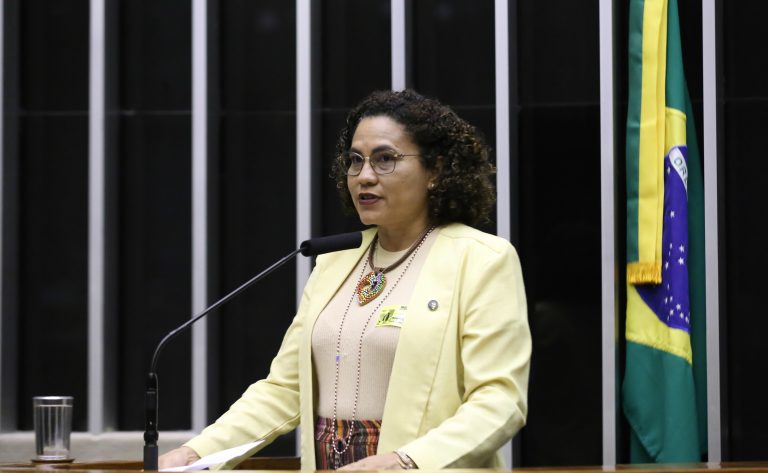 Homenagem à Campanha da Fraternidade 2025. Secretária Nacional de Povos e Comunidades Tradicionais e Desenvolvimento Rural Sustentável, Edel Moraes.