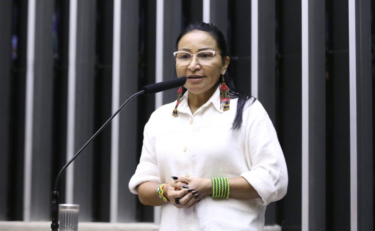 Discussão e votação de propostas legislativas. Dep. Silvia Waiãpi (PL - AP)