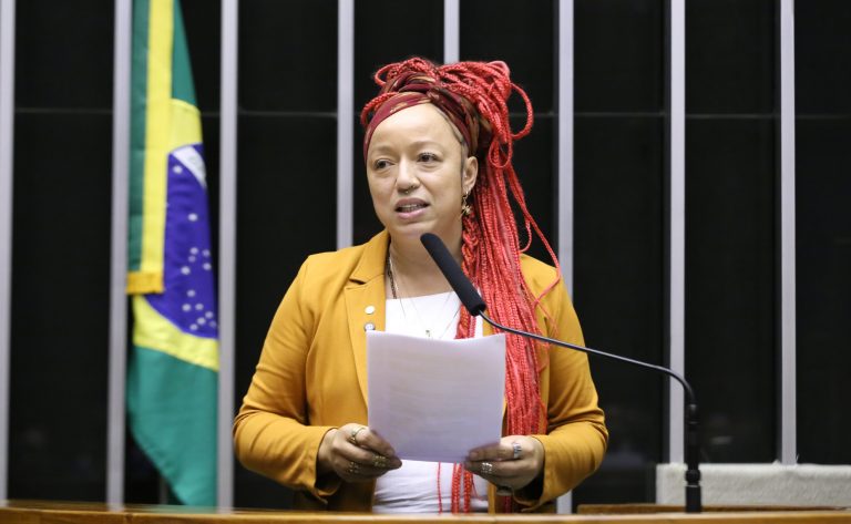 Discussão e votação de propostas legislativas. Dep. Daiana Santos (PCDOB-RS)