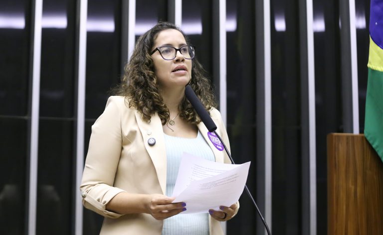 Deputada Denise Pessôa (PT-RS) fala no Plenário da Câmara dos Deputados
