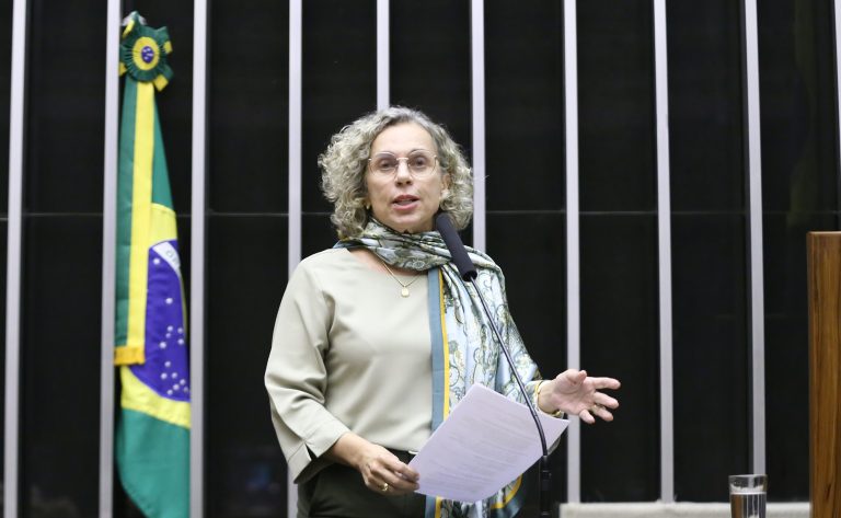 Discussão e votação de propostas legislativas. Dep. Ana Paula Lima (PT - SC)