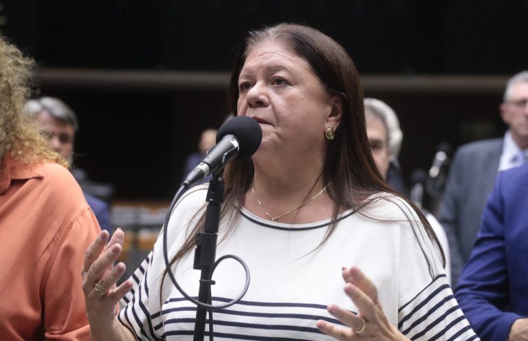Deputada Laura Carneiro fala ao microfone. Ela é branca, tem o cabelo comprido e escuro, veste uma blusa branca com listras pretas