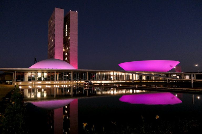 Congresso iluminado de rosa