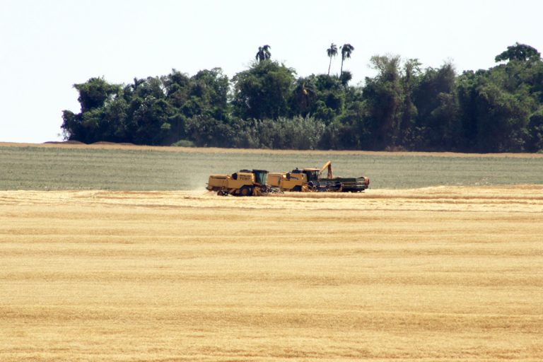 Agropecuária - plantações - lavouras tratores grãos produção agrícola código florestal meio ambiente preservação ambiental reserva legal área de proteção permanente