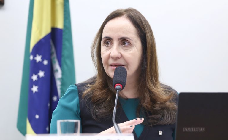Audiência Pública - Educação a Distância (EaD) no Brasil. Dep. Adriana Ventura (NOVO - SP)