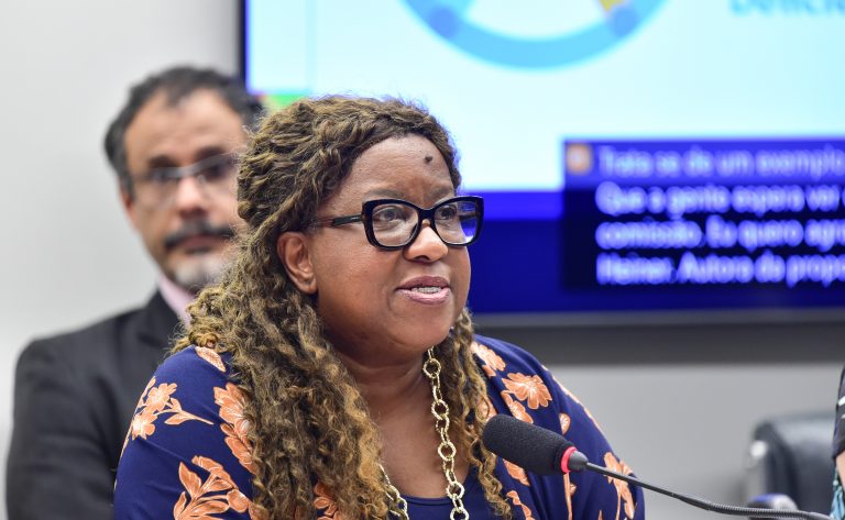 Projetos do Ministério dos Direitos Humanos e da Cidadania para o ano de 2025. Ministra de Estado dos Direitos Humanos, Macaé Evaristo