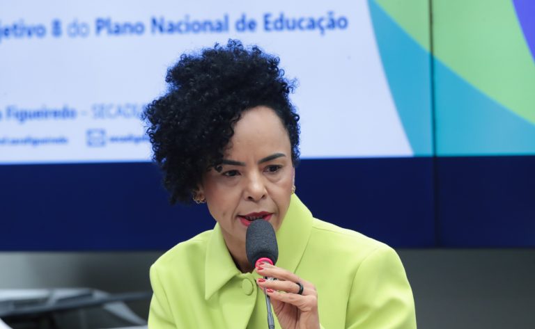 Audiência Pública - Educação escolar indígena, quilombola e do campo - Objetivo 8 PNE. Secretária de Educação Continuada, Alfabetização de Jovens e Adultos, Diversidade e Inclusão - Secretaria de Educação Continuada, Alfabetização de Jovens e Adultos, Diversidade e Inclusão do Ministério da Educação, Zara Figueiredo.