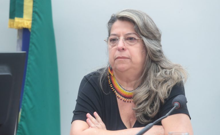 Audiência Pública - Educação escolar indígena, quilombola e do campo - Objetivo 8 PNE. Representante do Fórum Nacional de Educação do Campo - FONEC, Mônica Castagna Molina.