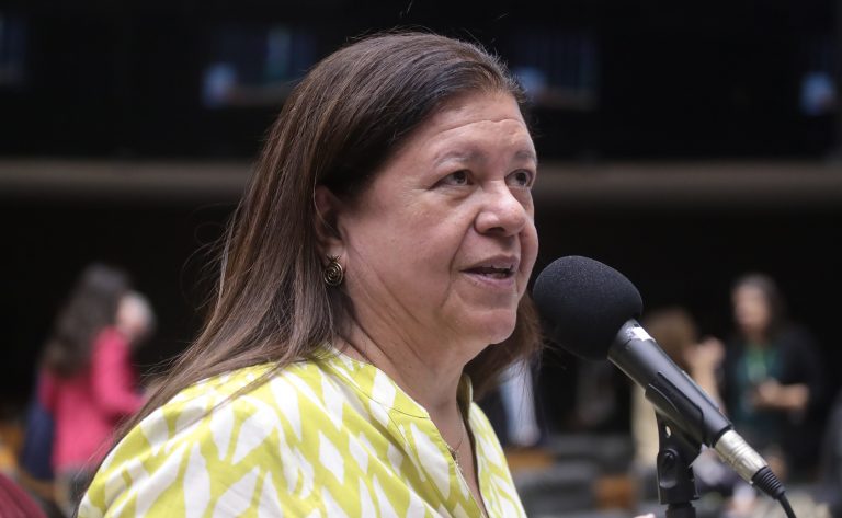 Discussão e Votação de Propostas Legislativas. Dep. Laura Carneiro (PSD - RJ)