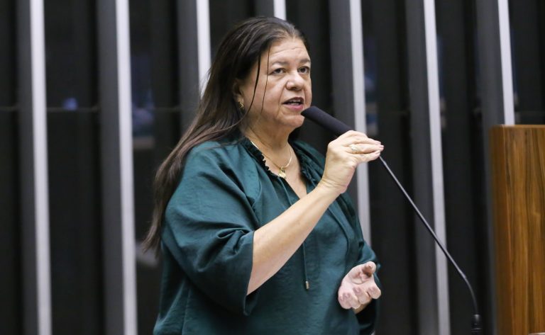 Discussão e Votação de Propostas Legislativas. Dep. Laura Carneiro (PSD - RJ)
