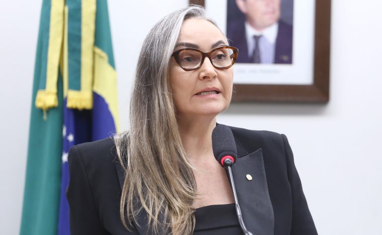 Deputada Daniela Reinehr fala ao microfone