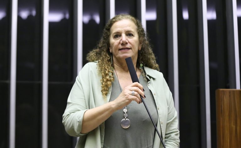 Discussão e Votação de Propostas Legislativas. Dep. Jandira Feghali (PCDOB-RJ)