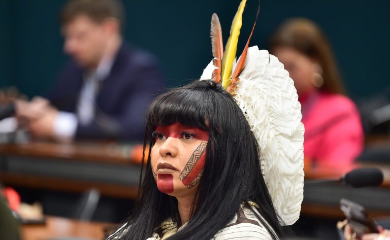 2ª Sessão de trabalho da Reunião de Mulheres Parlamentares do BRICS. Dep. Célia Xakriabá (PSOL - MG)