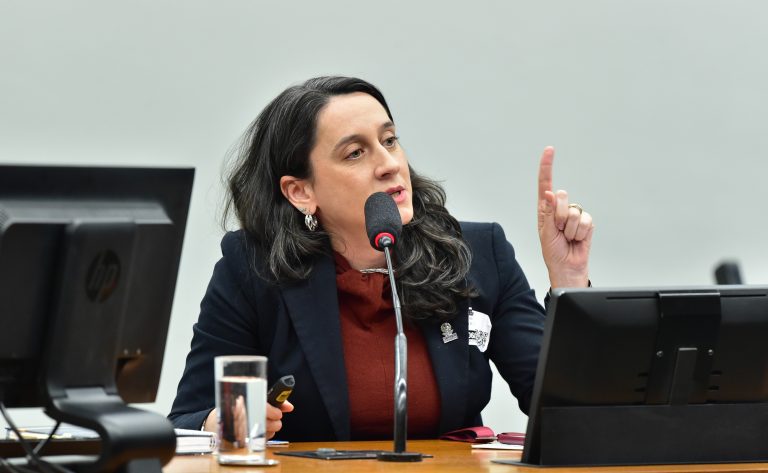 Audiência Pública - Proteção de direitos fundamentais e novas tecnologias. Representante de Secretaria de Comunicação Social da Presidência da República da República, Marina Pita.