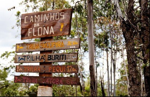 Placa indicando trilhas na floresta