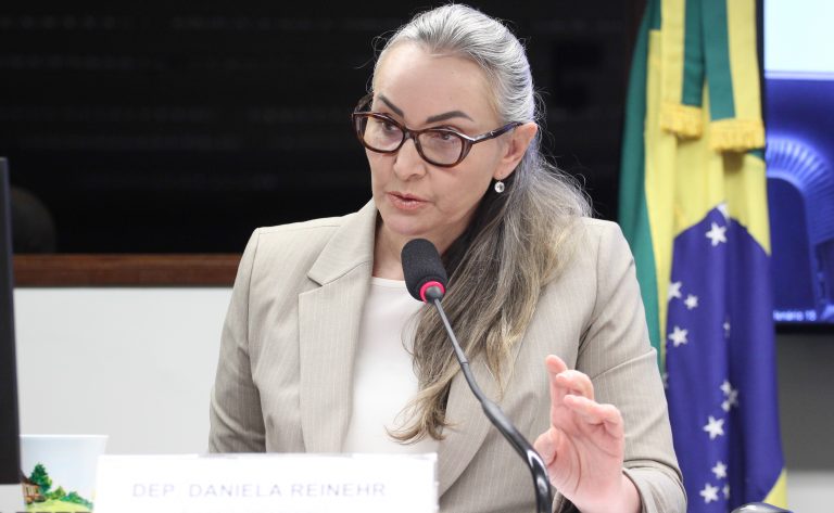 Deputada Daniela Reinehr (PL-SC) fala em comissão da Câmara dos Deputados