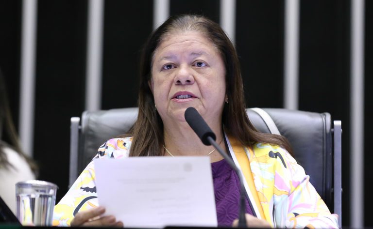 Deputada Laura Carneiro (PSD-RJ) fala no Plenário da Câmara dos Deputados